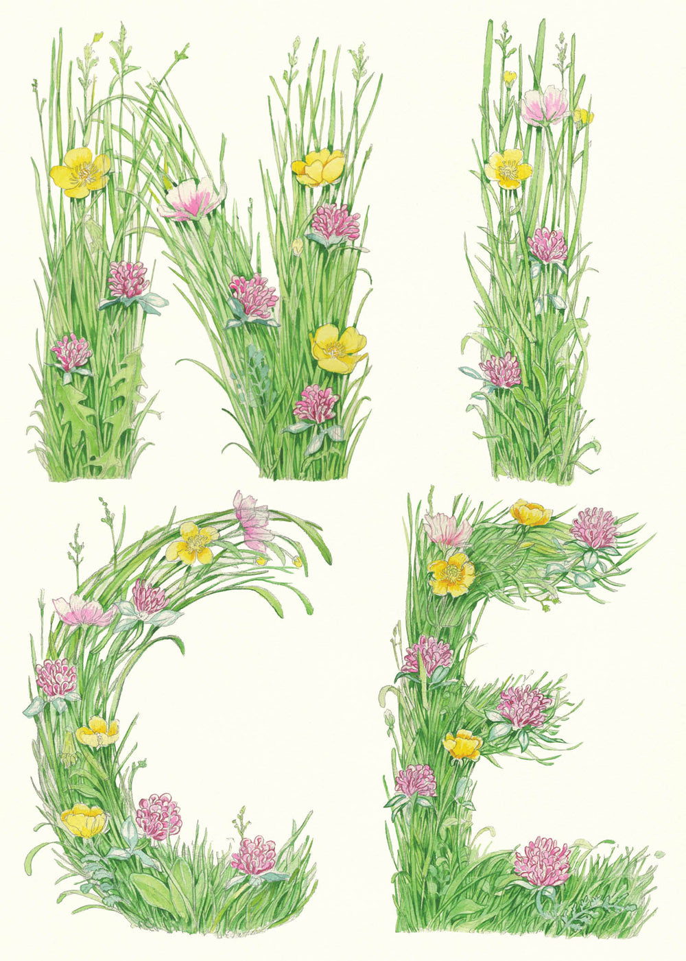 Nice- letters made out of meadow grass - Greetings Card