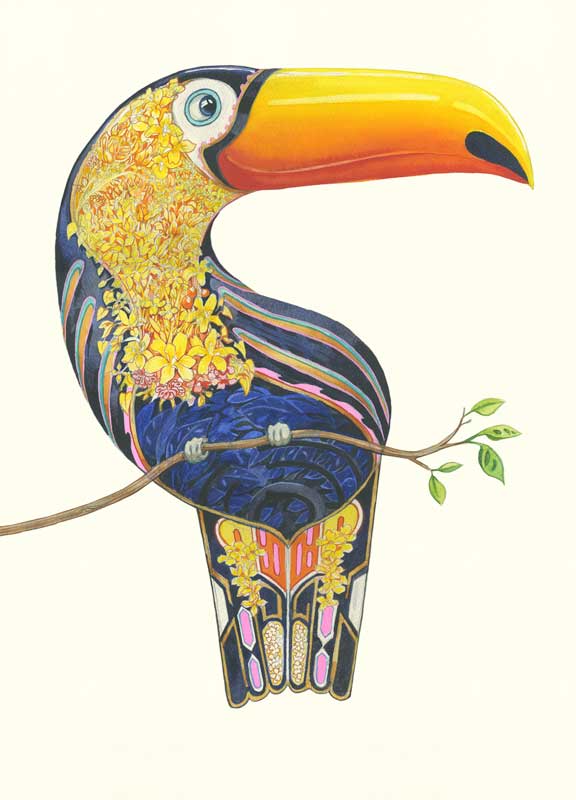 Toucan - Card