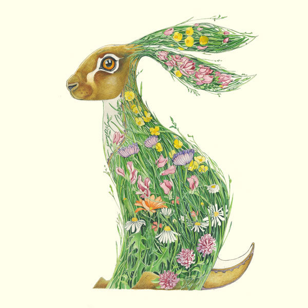 Hare in a Meadow - Print - The DM Collection