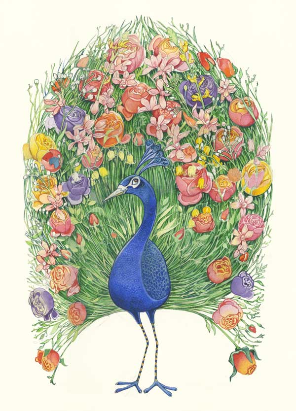 Peacock - Print - The DM Collection