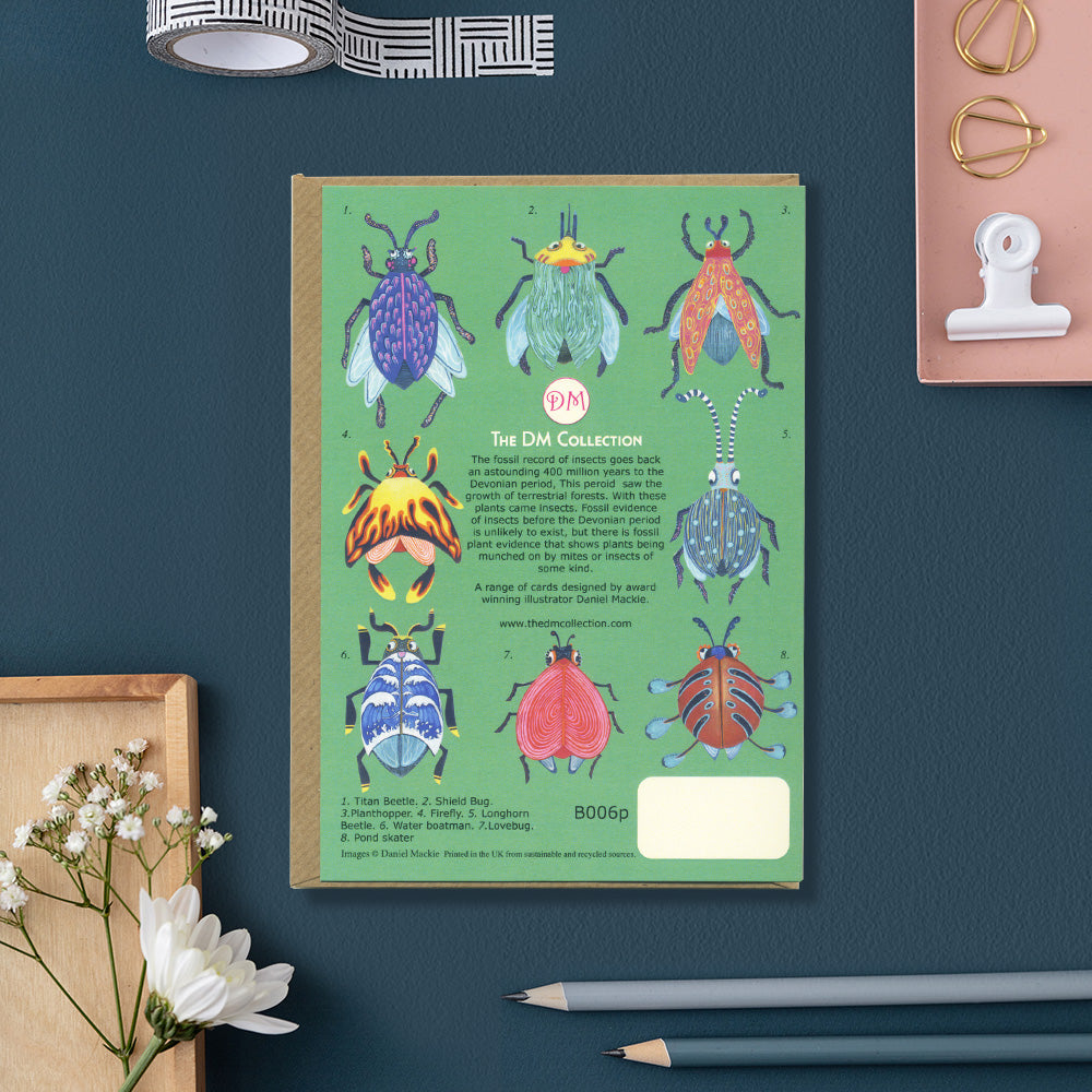 Shield Bug - Card