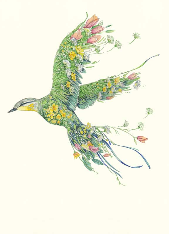 Western Yellow Wagtail - Card