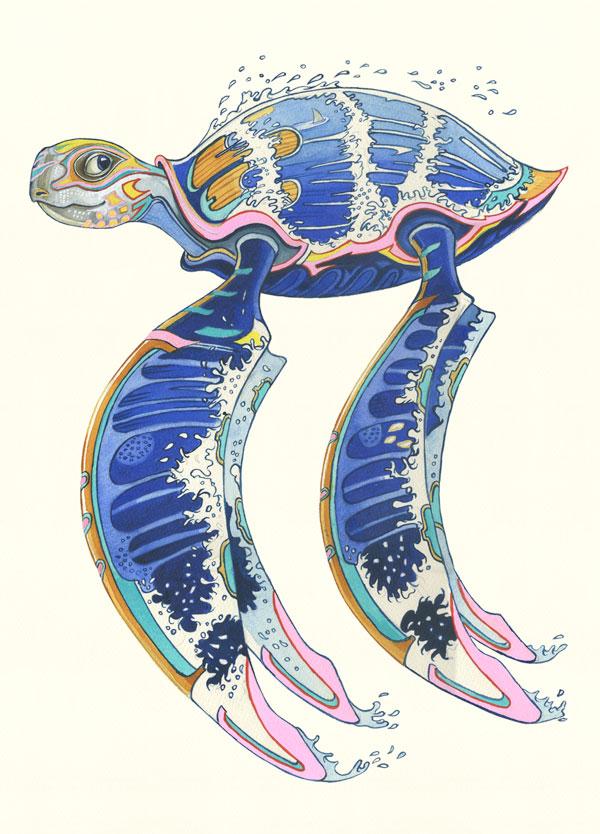 Racing Turtle - Print - The DM Collection