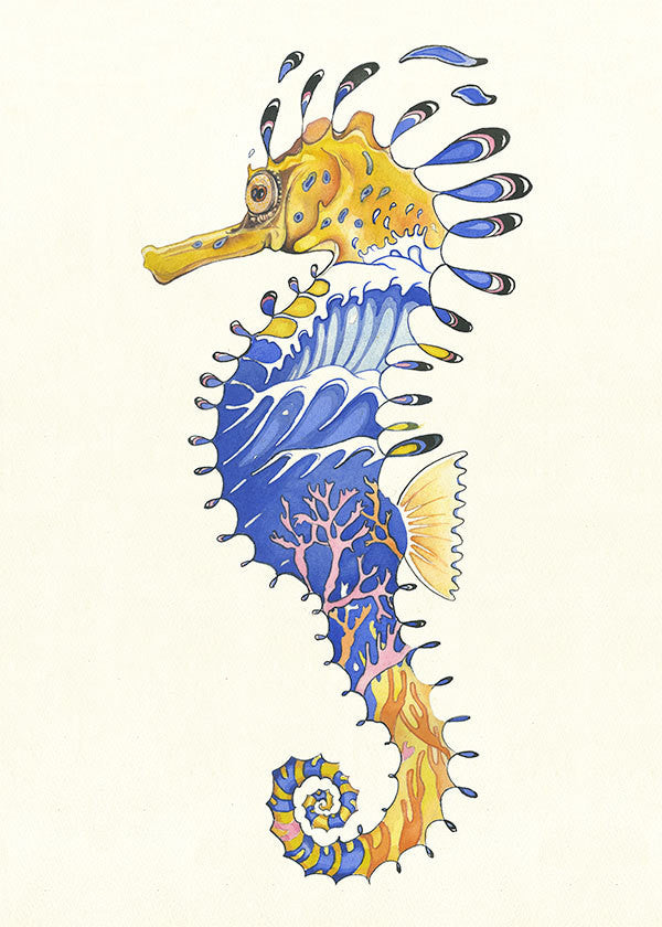Seahorse - Print - The DM Collection