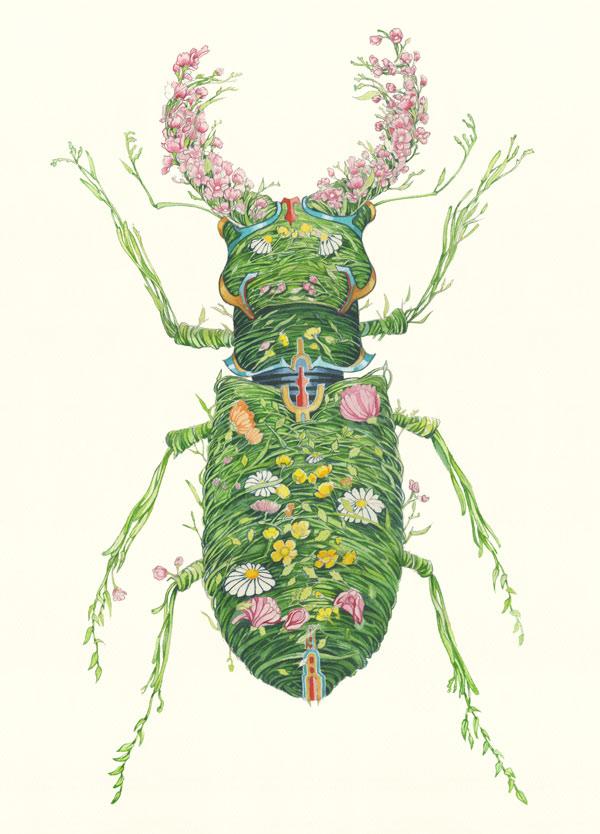 Stag Beetle - Print - The DM Collection