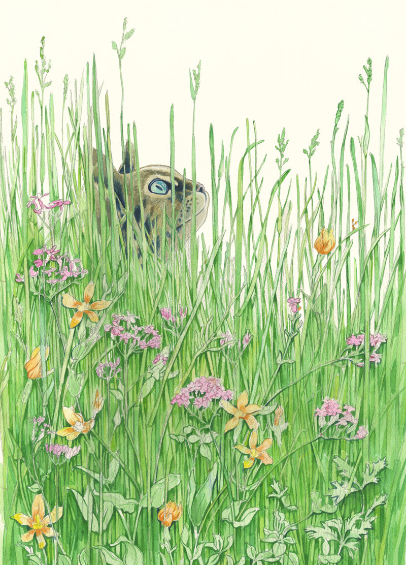 Cat in the grass - Greetings Card