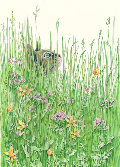 Cat in the grass - Greetings Card