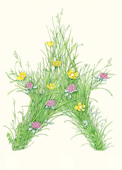 Grass star - Card