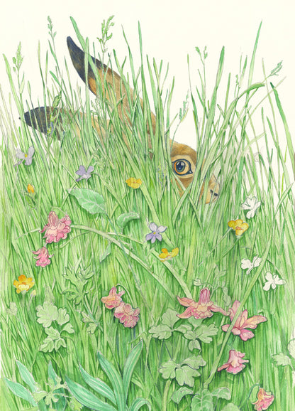 Hare in the grass - Greetings Card