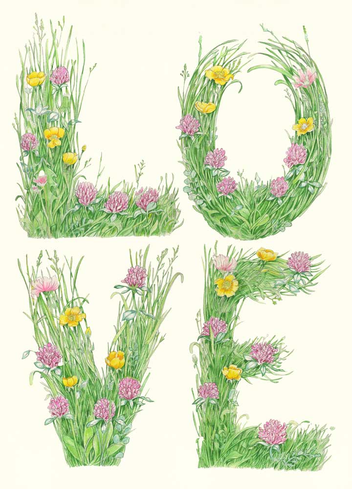 Love spelled in  illustrated meadow grass and flowers on a white background
