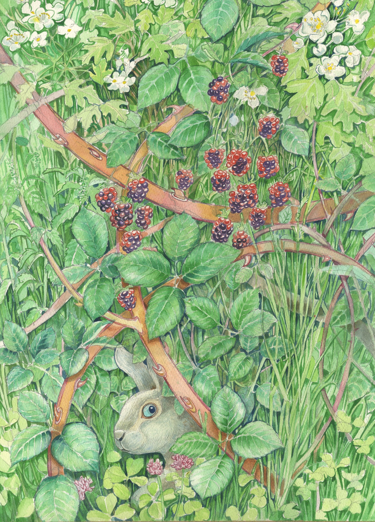 Bunny in a Hedgerow - Greetings Card