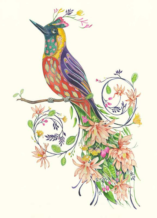 Extra fancy bird of paradise- Print