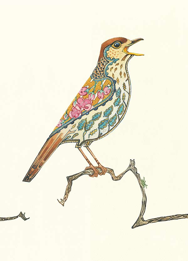 Thrush - Print