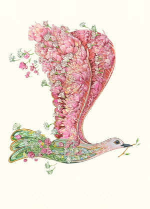 Dove of peace - Card