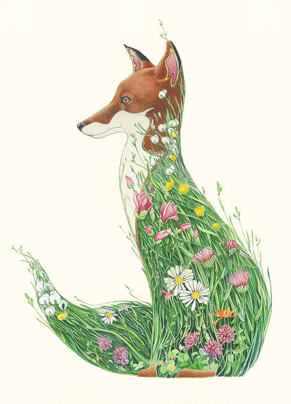 Fox in a Meadow - Card - The DM Collection