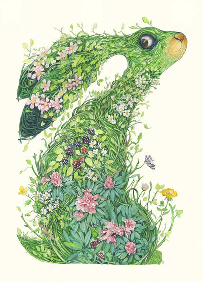 Hare from the wild wood - Card