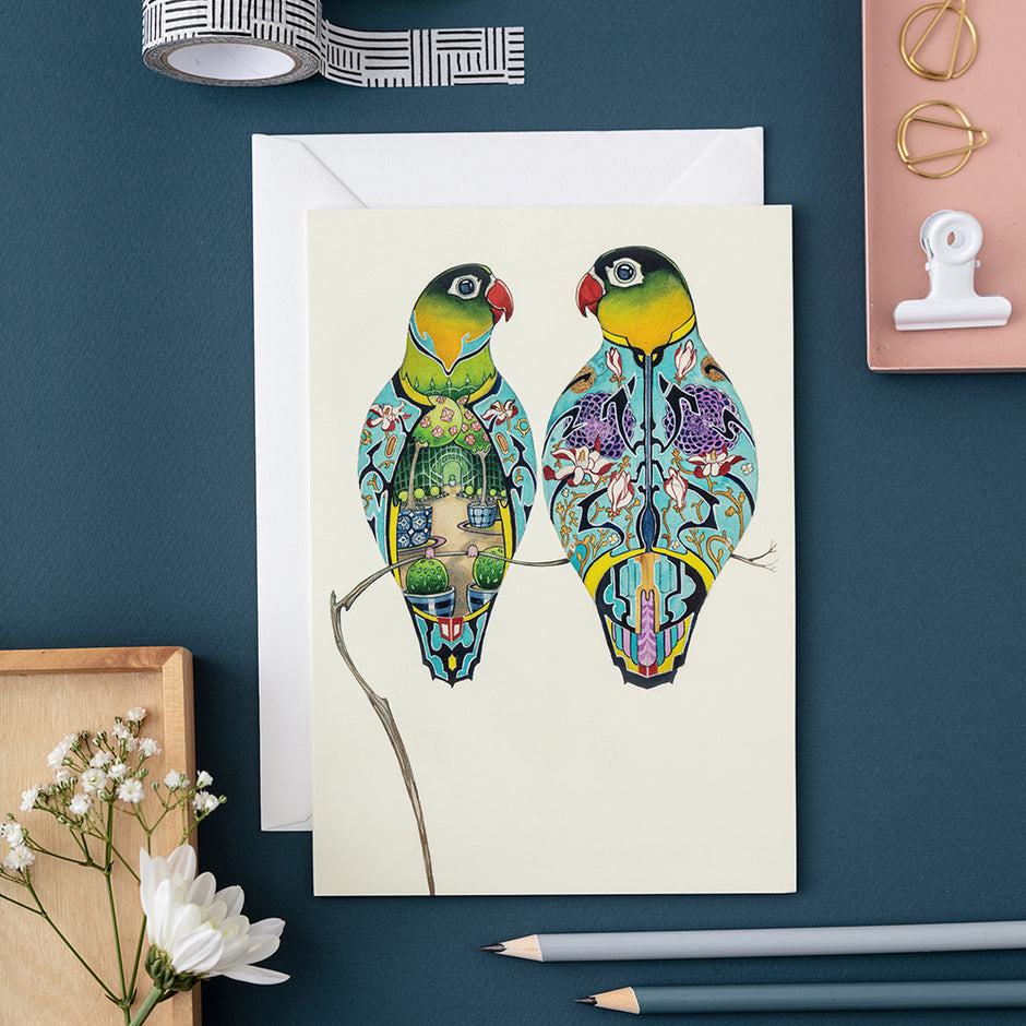 Birds – The DM Collection