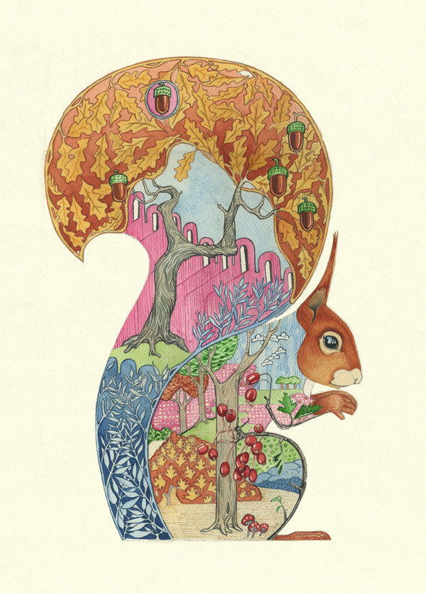 Red Squirrel - Print - The DM Collection