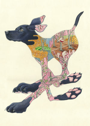 Black Labrador Running - Card - The DM Collection
