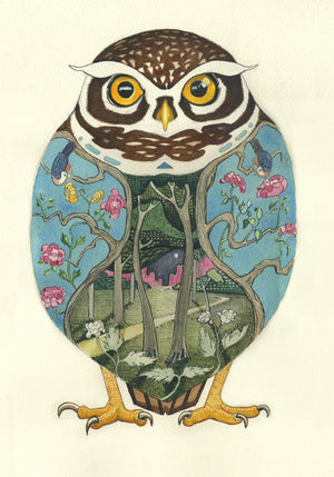 Little Owl - Print - The DM Collection