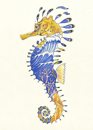 Seahorse - Card - The DM Collection