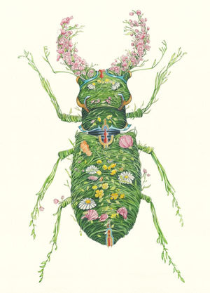 Stag Beetle  - Print - The DM Collection