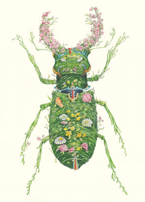 Stag Beetle  - Print - The DM Collection